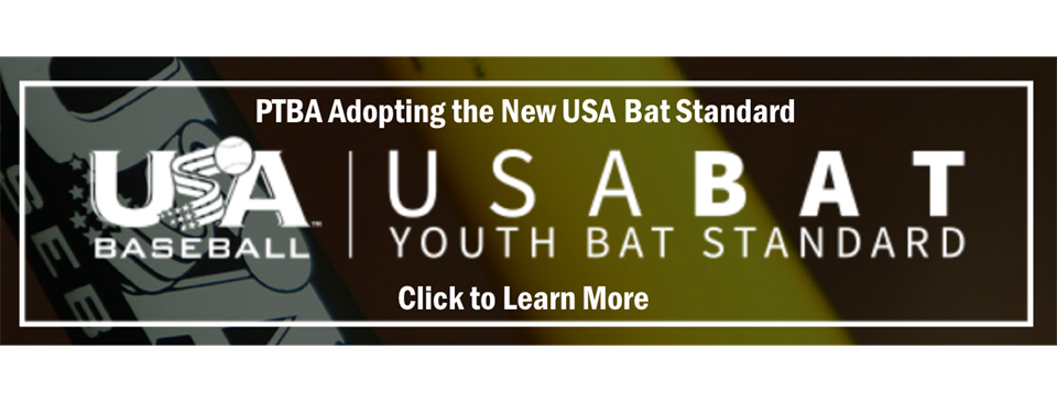 USA Youth Bat Standard